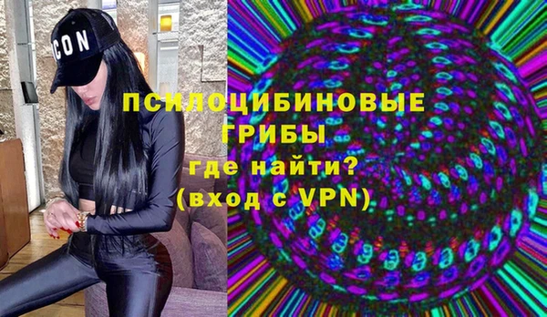 твердый Приозерск