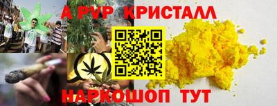 ECSTASY Аргун