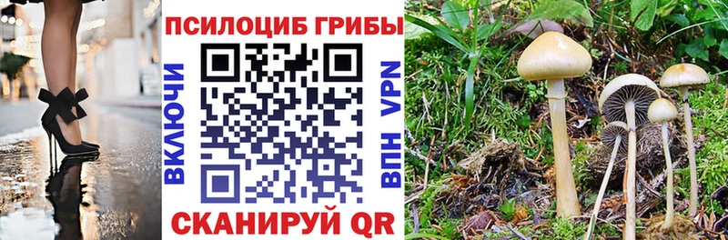 MEGA ссылки  Балахна  Галлюциногенные грибы Psilocybe 
