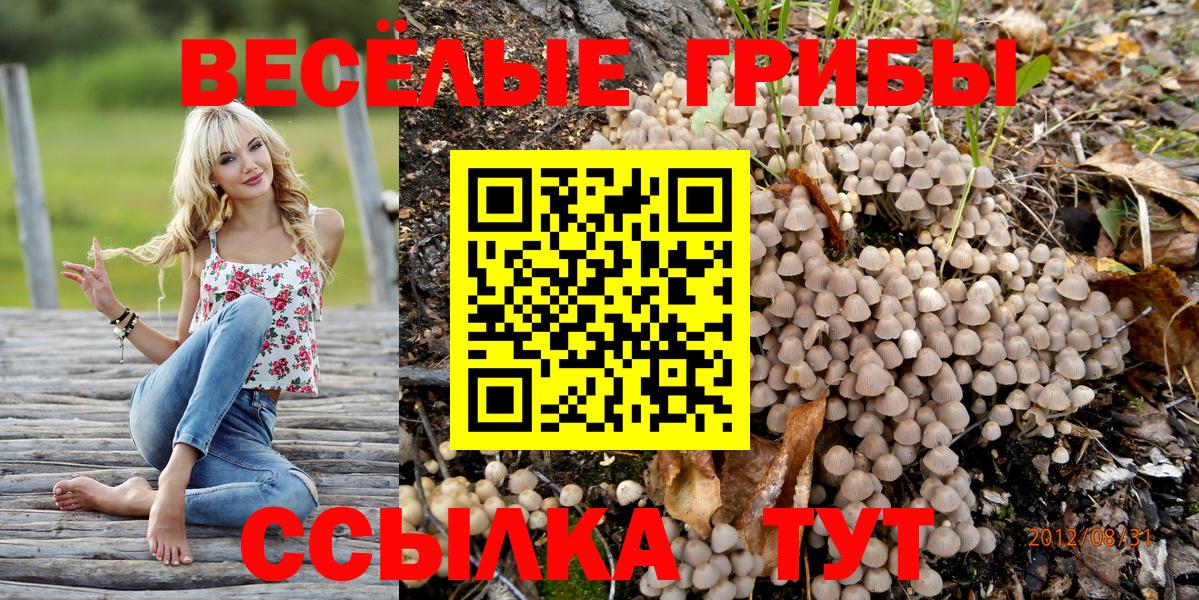 Псилоцибиновые грибы GOLDEN TEACHER  Вход с VPN  Псилоцибиновые грибы Magic Shrooms  Балахна 
