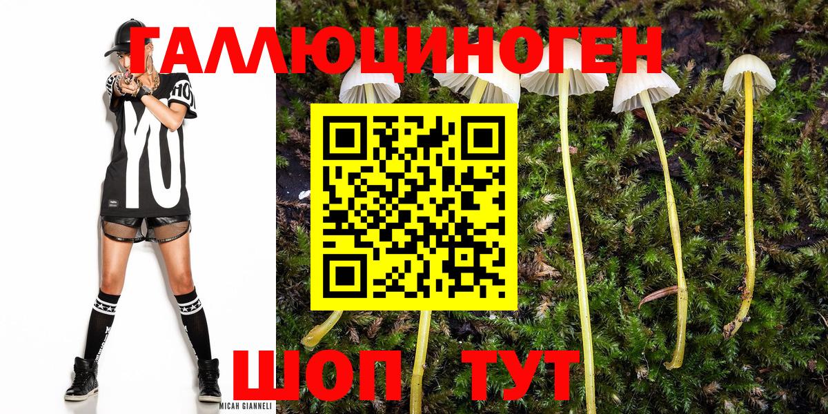 Псилоцибиновые грибы Magic Shrooms Балахна